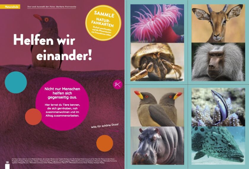 KALEIO-Magazin Nr. 23: Freundinnen (Deutsch) – Bild 6