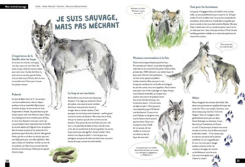 KALEIO N°19 : Magie (français) – Image 5